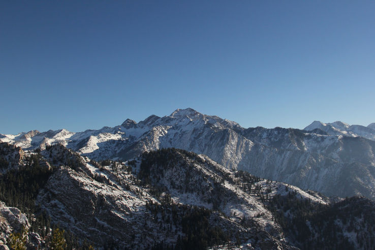 Twin Peaks Trip Packages