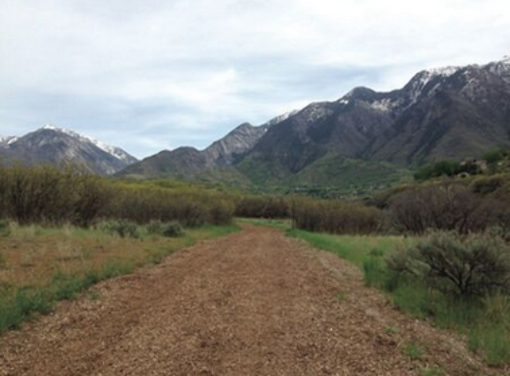 Dimple Dell Regional Park  Trip Packages