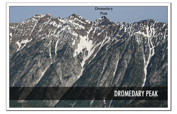Dromedary Peak  Trip Packages