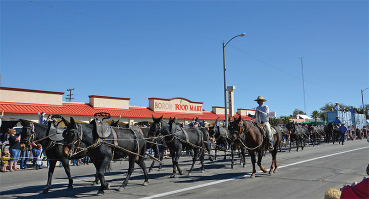 Twenty Mule Team Museum Trip Packages