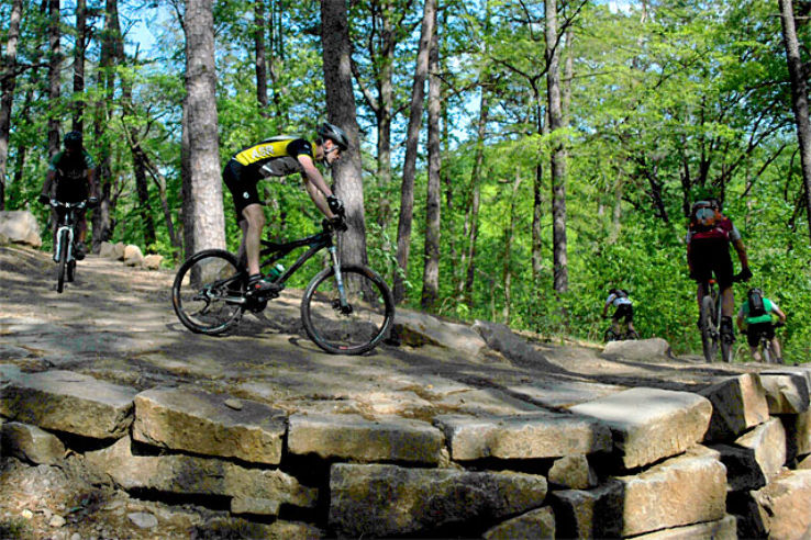 Forest Hill Park Trip Packages