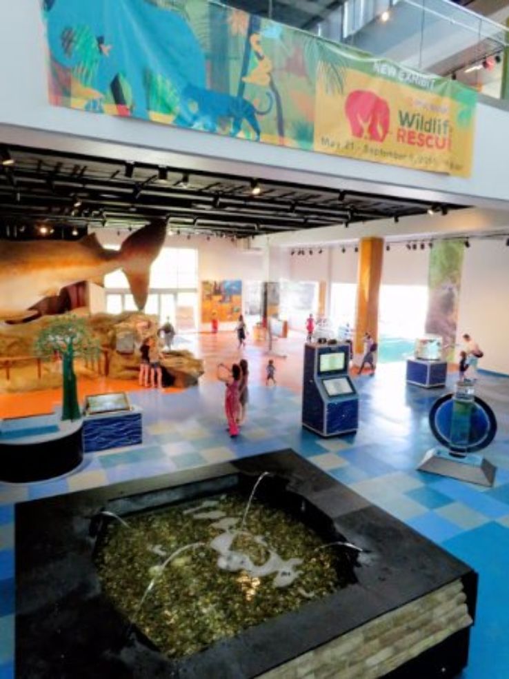 Museum of Discovery and Science Trip Packages