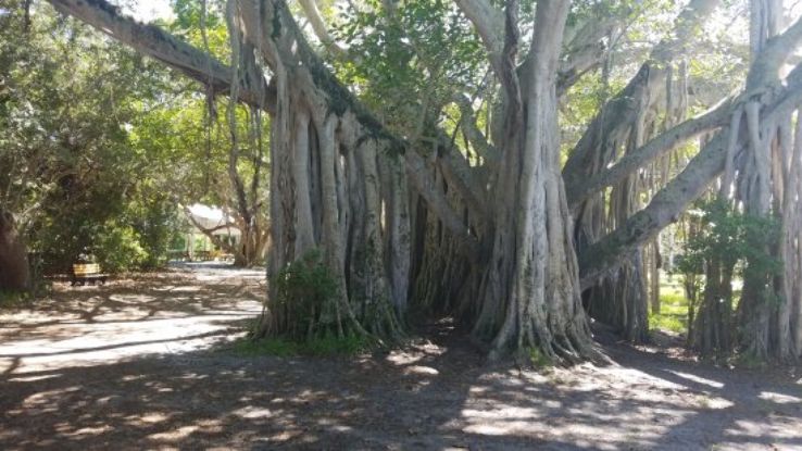 Hugh Taylor Birch State Park Trip Packages