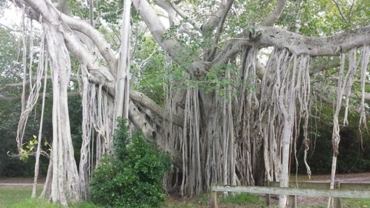 Hugh Taylor Birch State Park Trip Packages