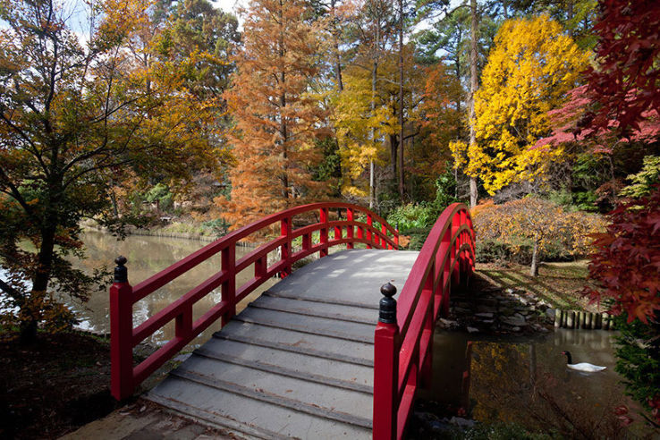 Sarah P. Duke Gardens Trip Packages