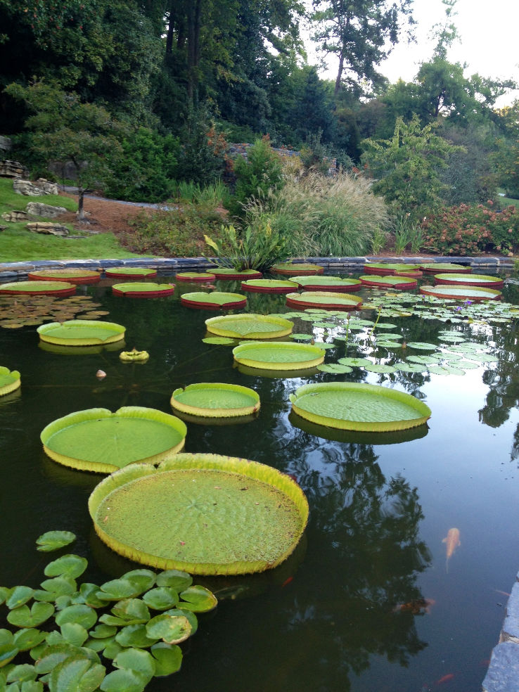 Sarah P. Duke Gardens Trip Packages