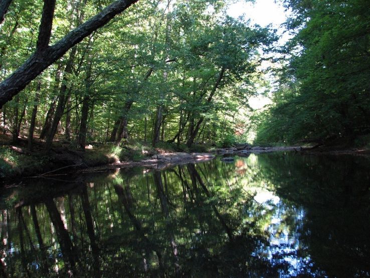 Duke Forest Trip Packages