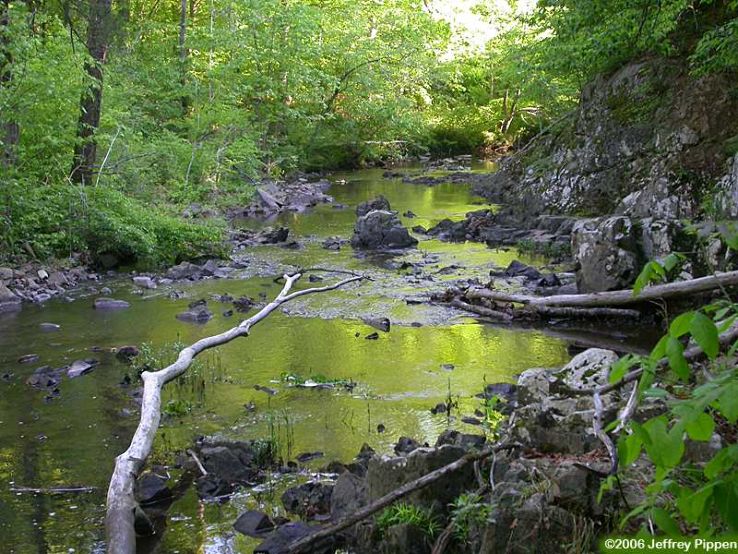 Duke Forest Trip Packages