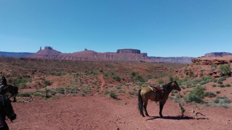 Moab Horses at Hauer Ranch  Trip Packages