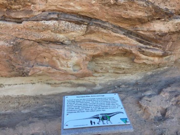 Mill Canyon Dinosaur Trail Trip Packages