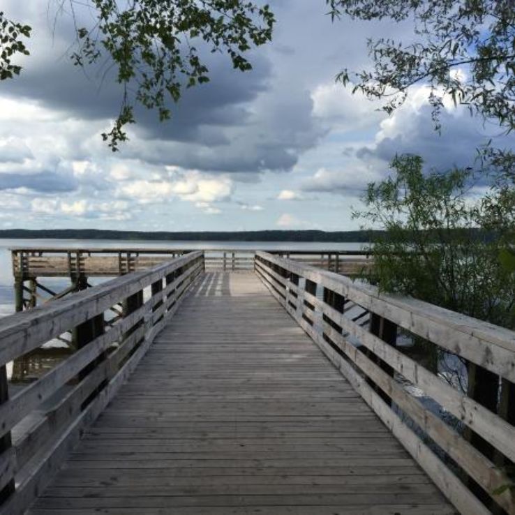 Forest Hills Park Trip Packages