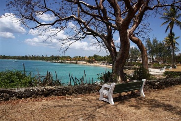 Store Bay Trip Packages