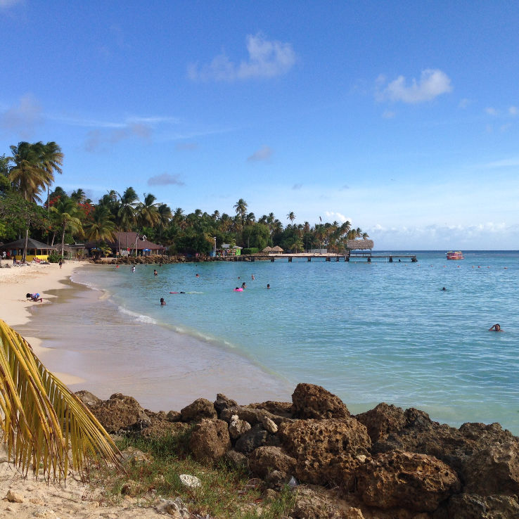 Pigeon Point Trip Packages