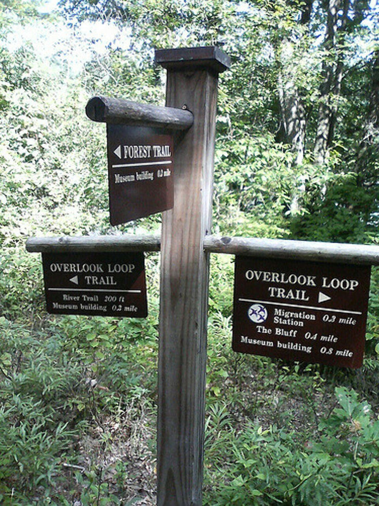 Montshire Museum  Trip Packages