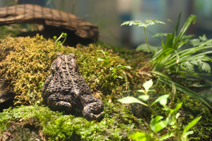 Montshire Museum  Trip Packages