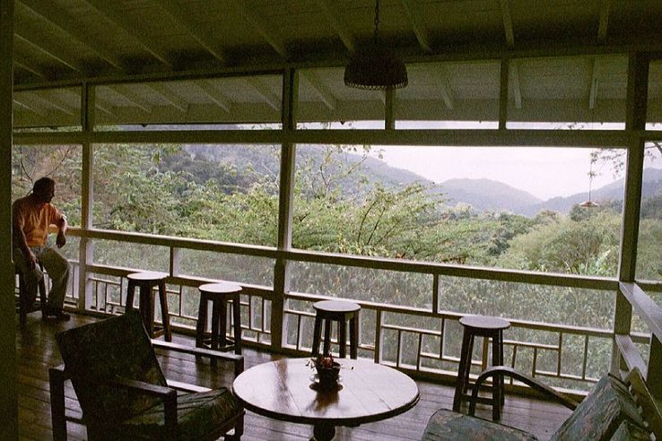 Asa Wright Nature Centre Trip Packages