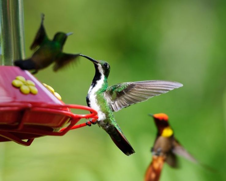 Yerette Trip Packages