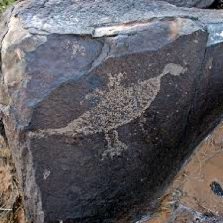 Petroglyph National Monument  Trip Packages