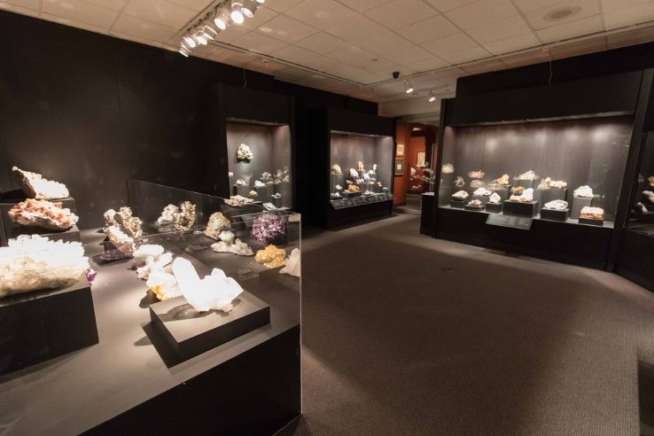 Bruce Museum of Arts and Science Trip Packages