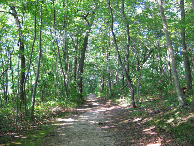 Caumsett State Historic Park  Trip Packages