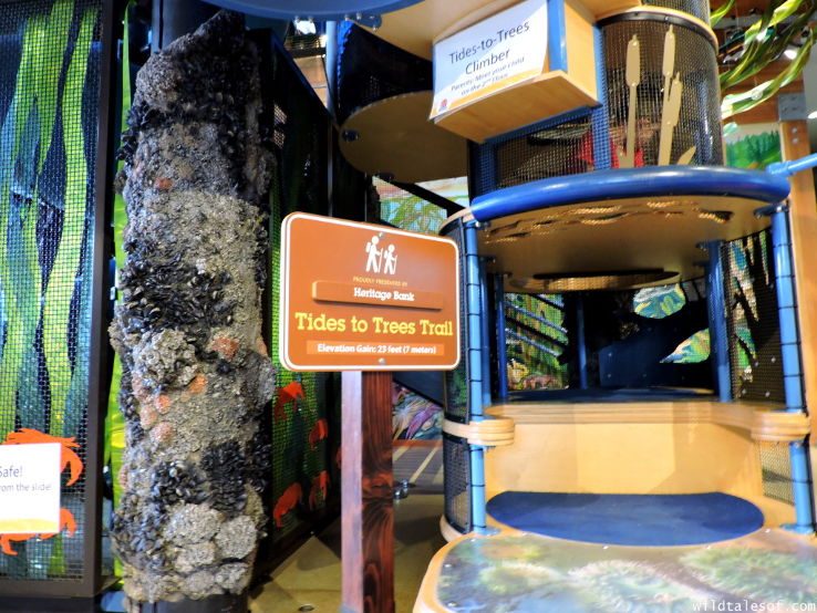 Hands On Childrens Museum Trip Packages