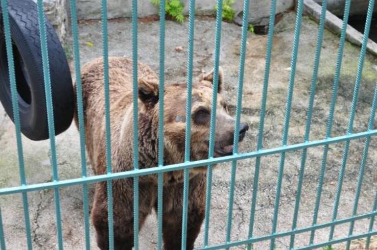 Split Science Museum and Zoo Trip Packages