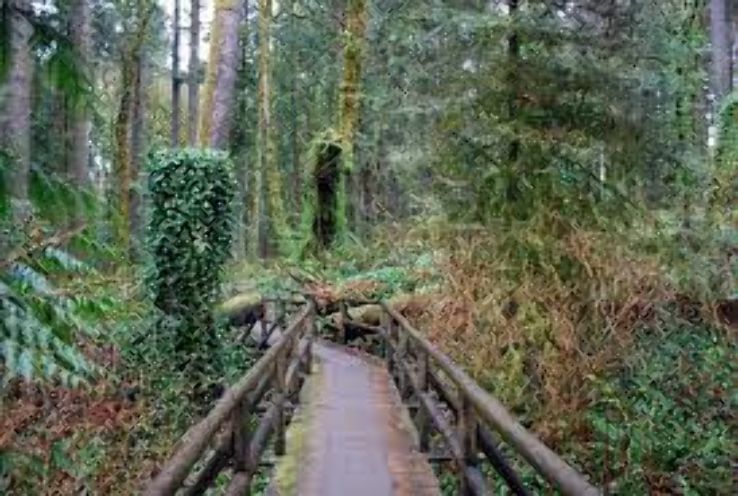 Priest Point Park Trip Packages