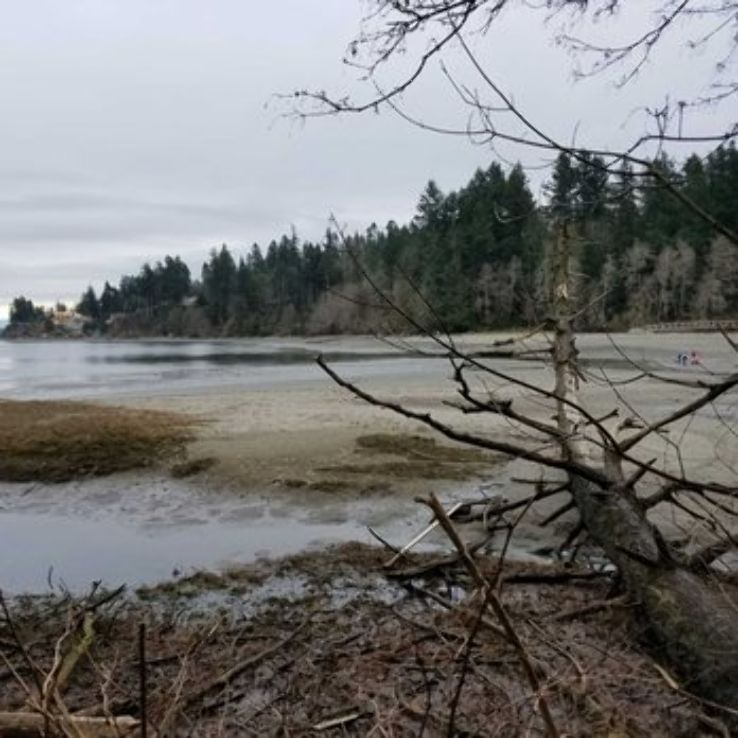 tolmie state park 2020 6 top things to do in olympia tolmie state park tide chart