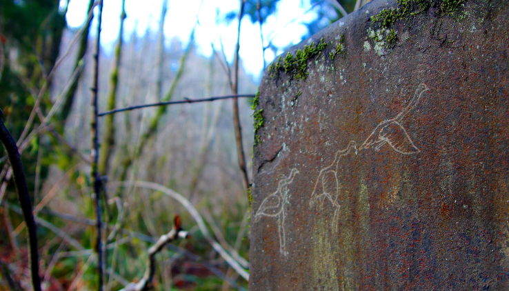 Watershed Park Trip Packages