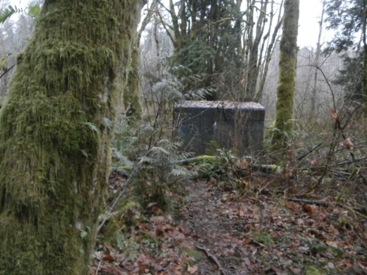 Watershed Park Trip Packages