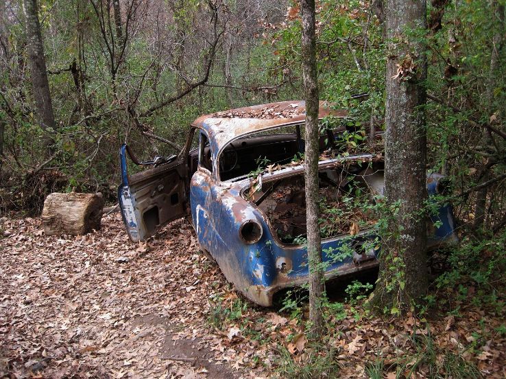 Shelby Farms Park Trip Packages