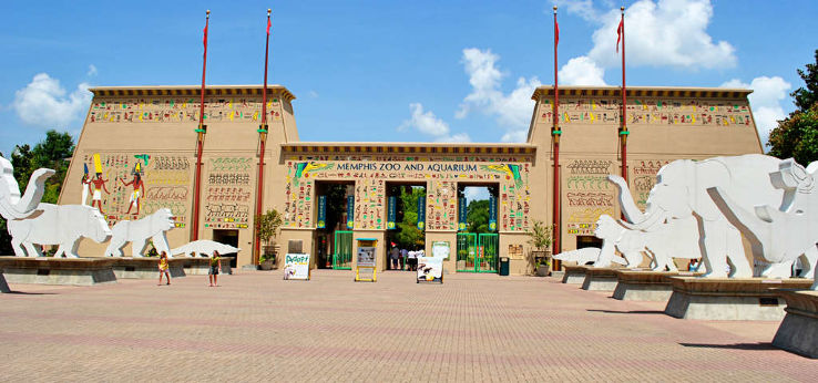 Memphis Zoo Trip Packages