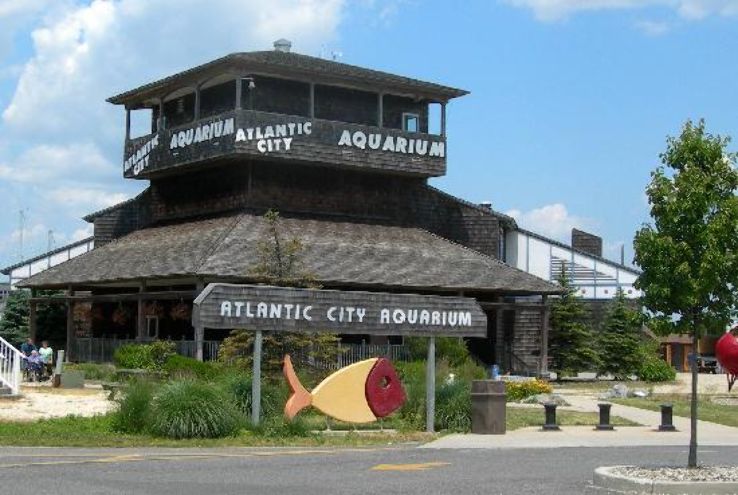 Atlantic City Aquarium Trip Packages