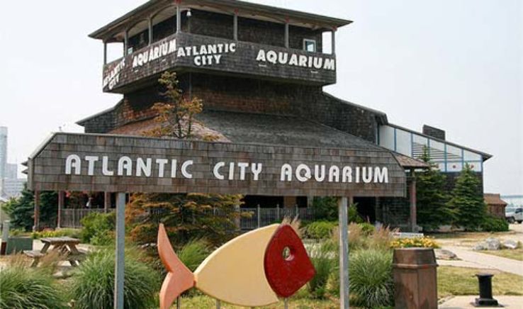 Atlantic City Aquarium Trip Packages