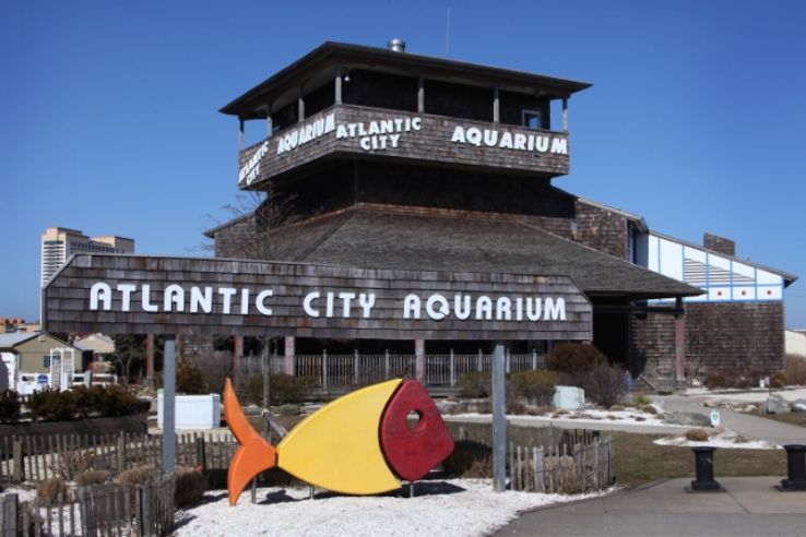 Atlantic City Aquarium Trip Packages