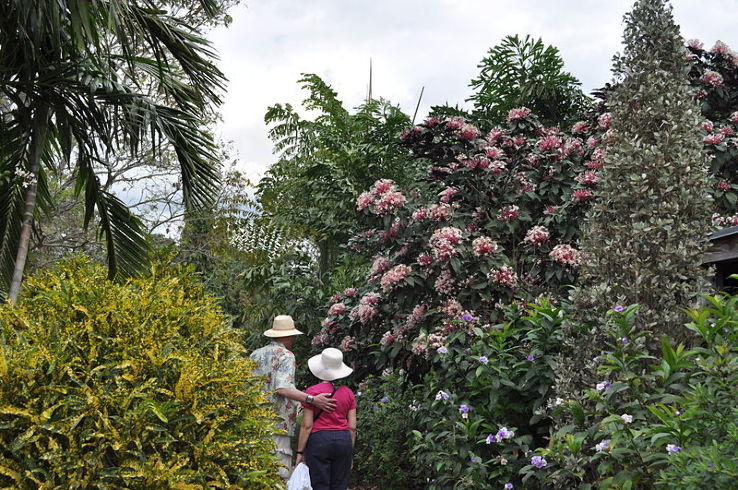 Mounts Botanical Garden 2019 6 Top Things To Do In Wellington