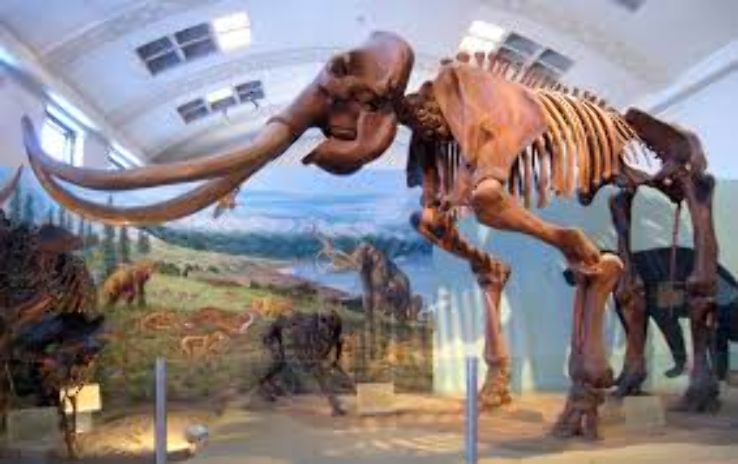 Natural History Museum of Utah Trip Packages