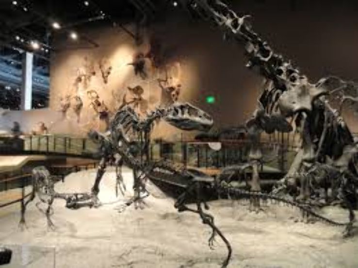 Natural History Museum of Utah Trip Packages