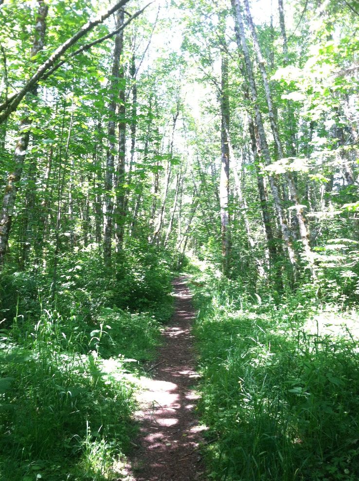 Grass Lake Nature Reserve 2021, 1 top things to do in olympia