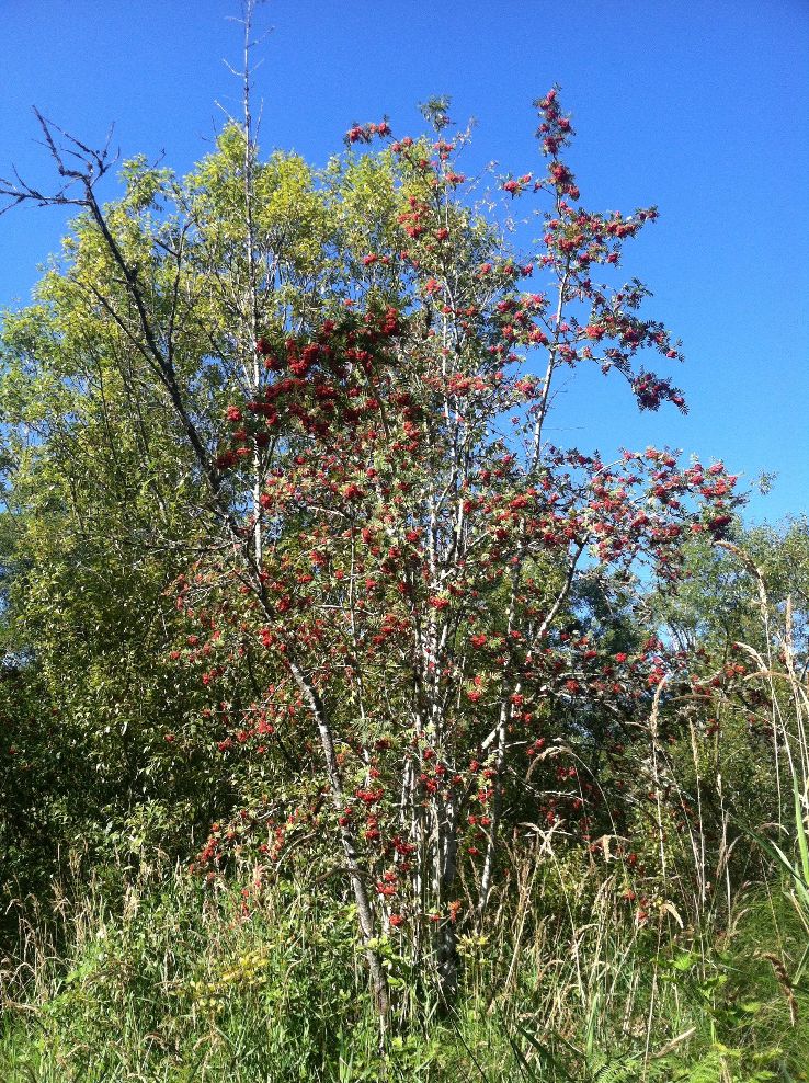 Mission Creek Nature Park Trip Packages