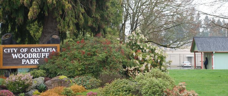 Woodruff Park Trip Packages