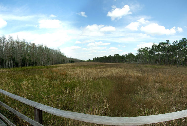 Corkscrew Swamp Sanctuary Trip Packages