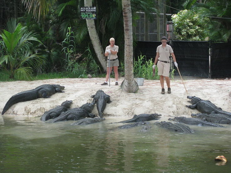 Naples Zoo at Caribbean Gardens Trip Packages