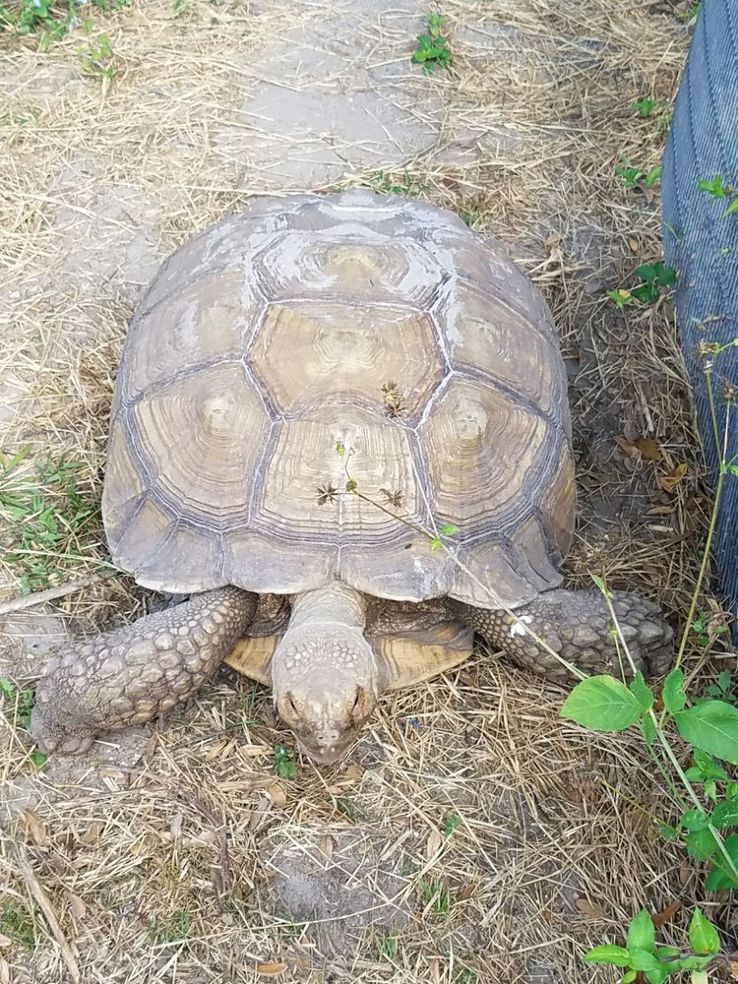 Bird Gardens of Naples Trip Packages