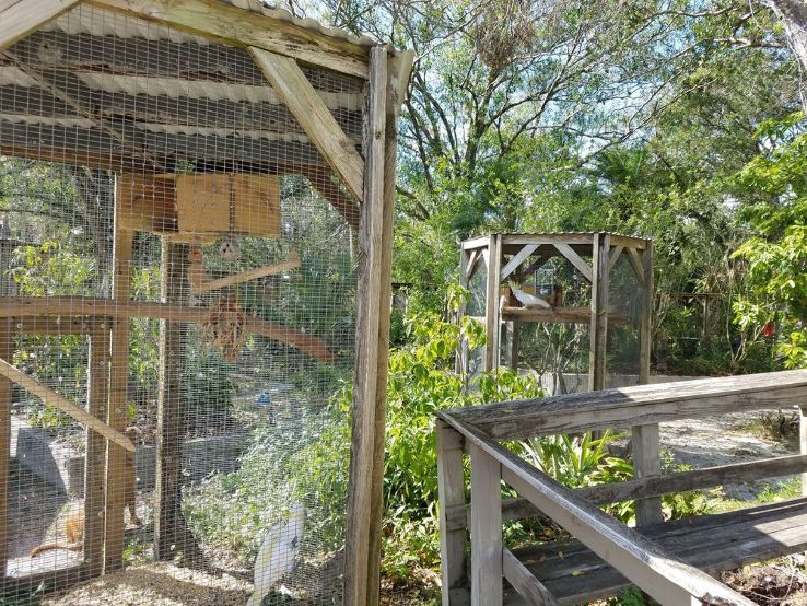 Bird Gardens of Naples Trip Packages