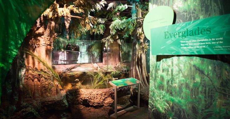 Conservancy of Southwest Florida Trip Packages