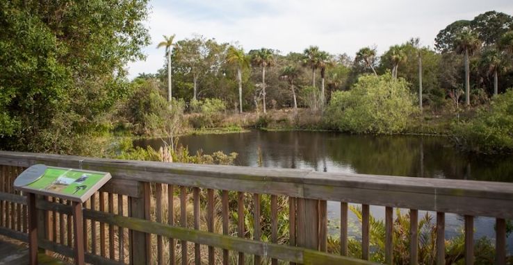 Conservancy of Southwest Florida Trip Packages