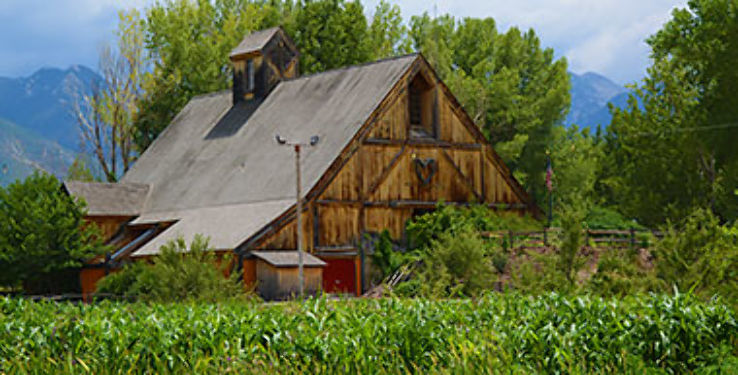 Wheeler Historic Farm Trip Packages