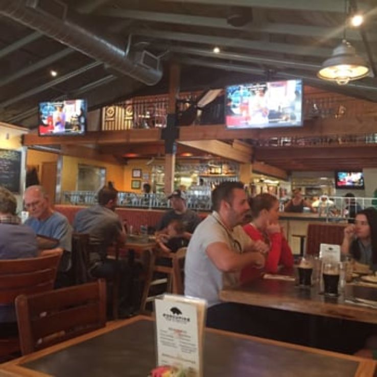 Porcupine Pub and Grill Trip Packages