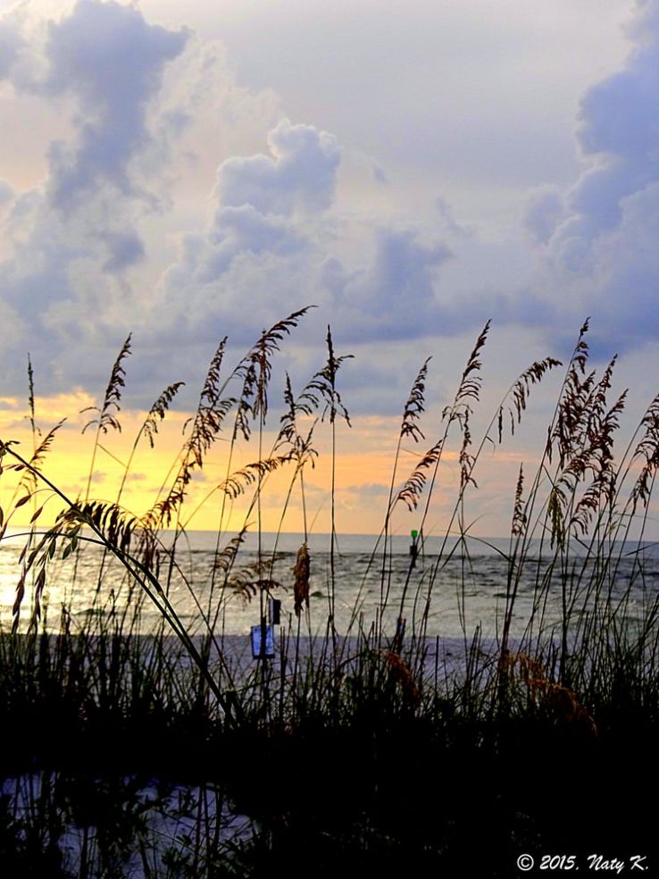  Delnor-Wiggins Pass State Park Trip Packages